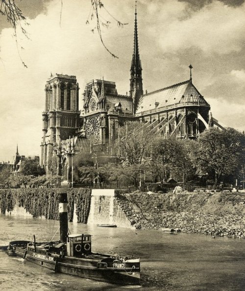 1950 年代的巴黎聖母院。（Twitter@alcarbon68)